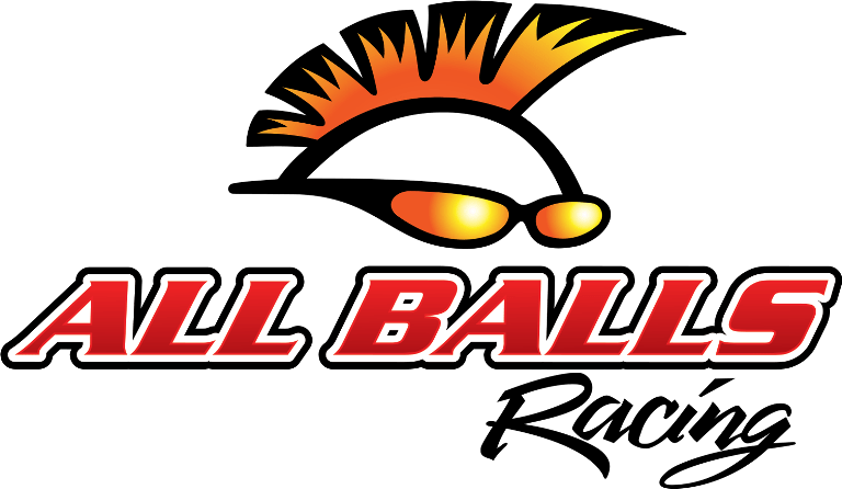 ALL BALLS RACING WHEEL BEARING & SEAL KIT 25-1406