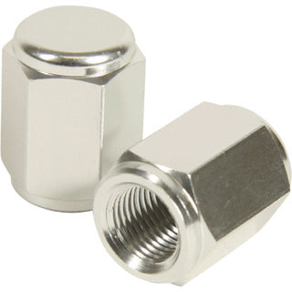 RHK VALVE CAPS SILVER  RHKVC01-S